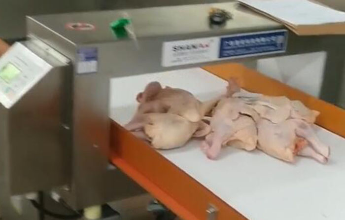 金檢，測雞肉